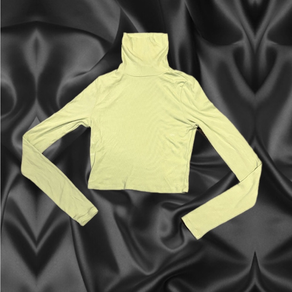 Mint Turtleneck Top